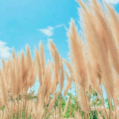 古今江湖隐藏秘籍版手游下载